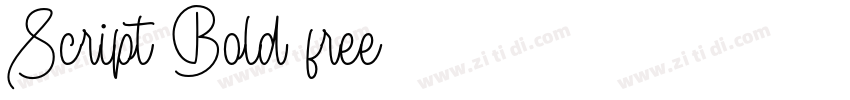 Script Bold free字体转换